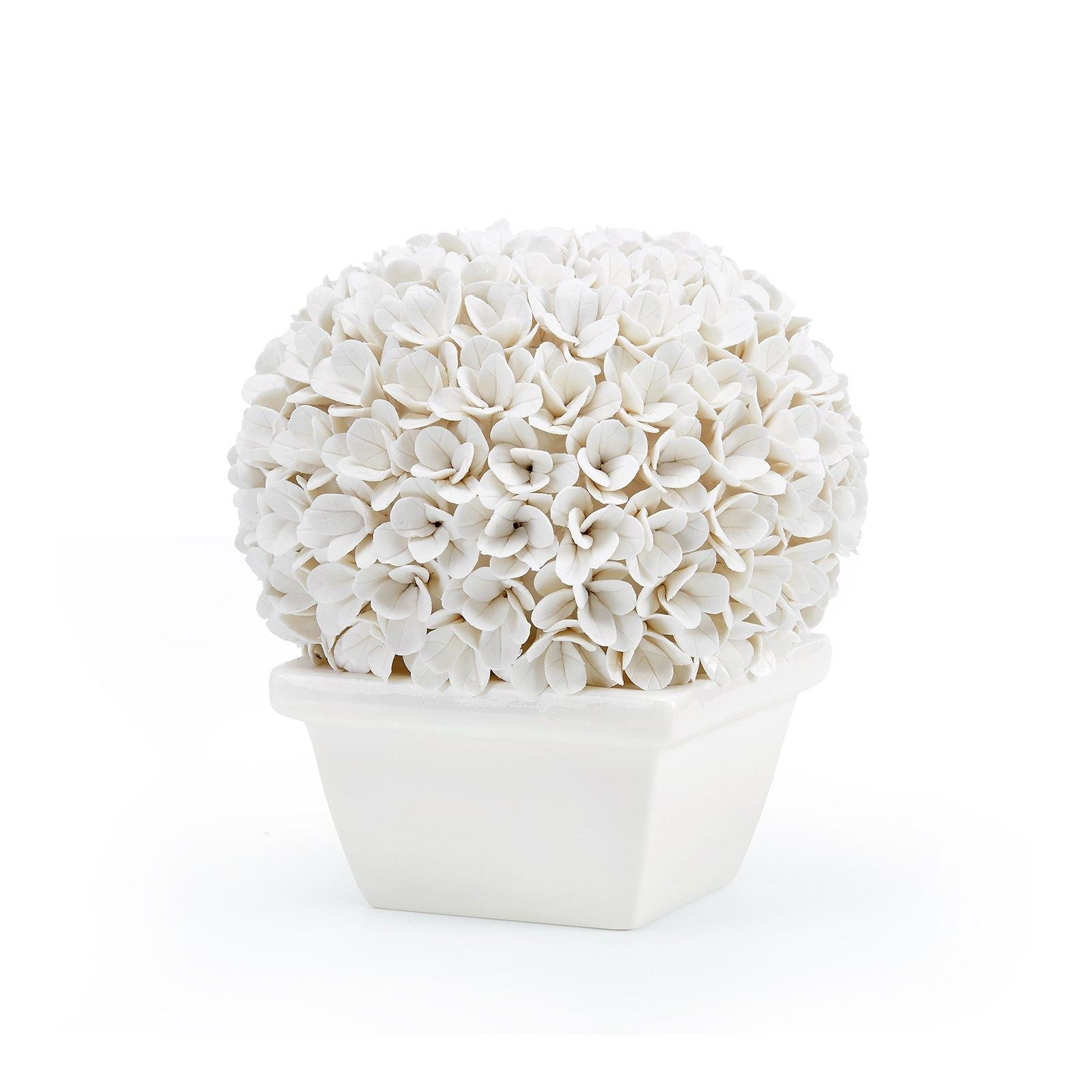 Boston Round Boxwood Topiary
