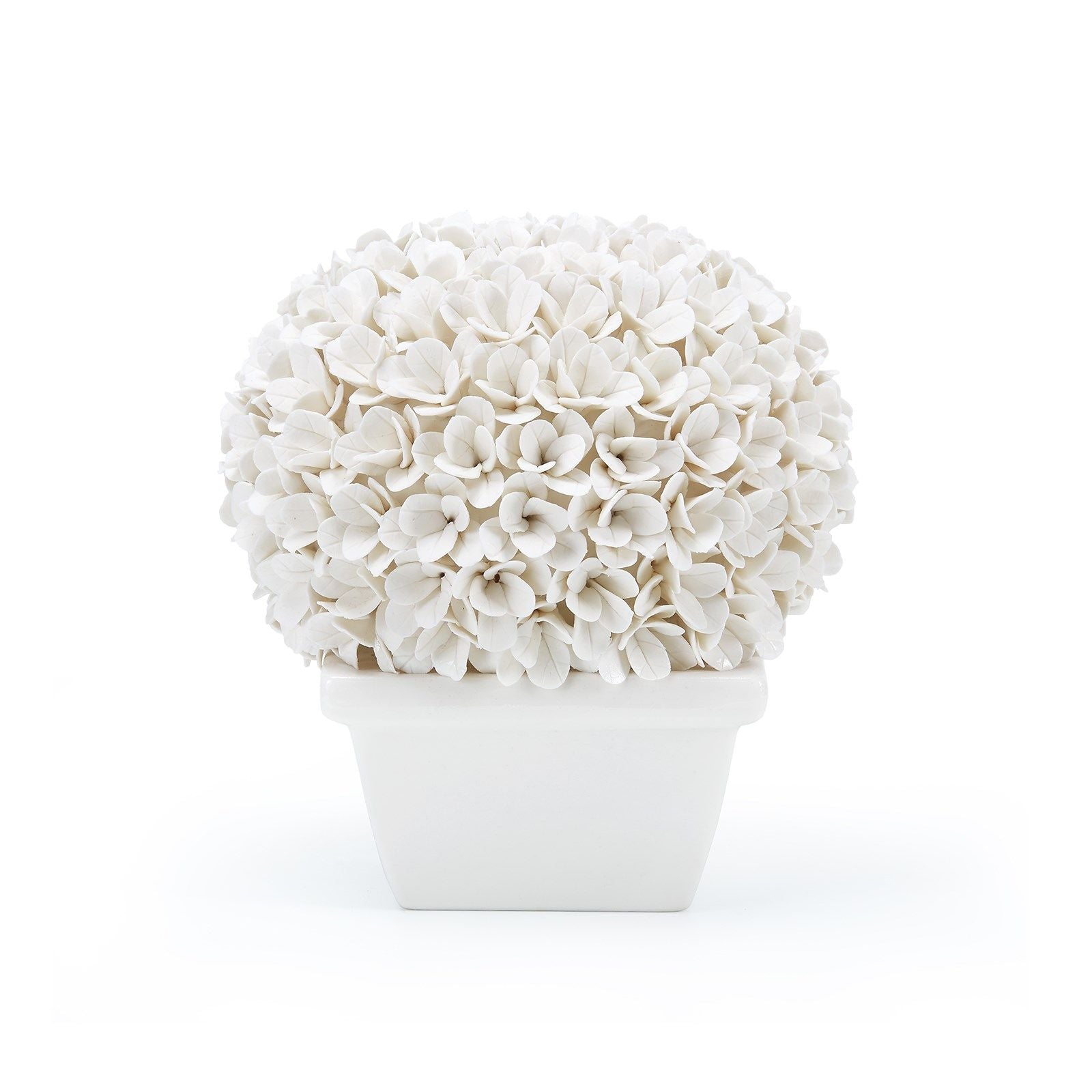 Boston Round Boxwood Topiary